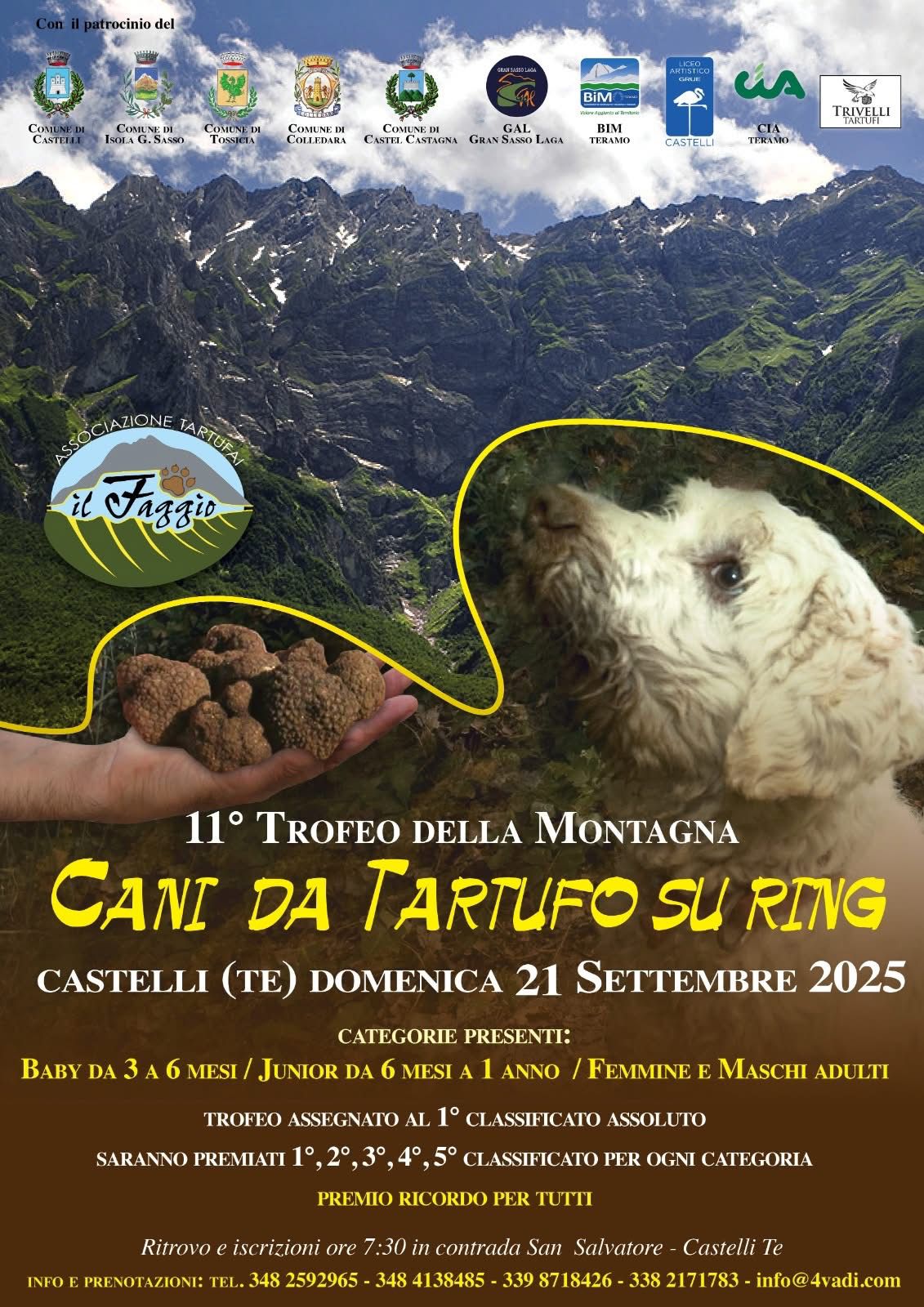 CASTELLI